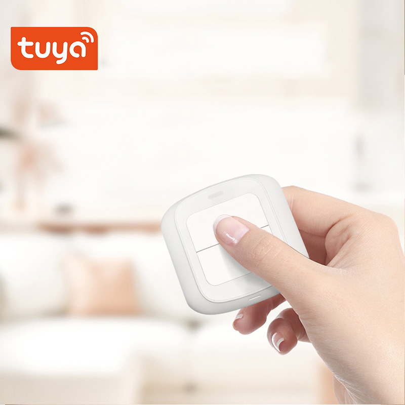 Tuya Zigbee WiFi Smart Switch  - đánh giá và giá Home Automation Ideas