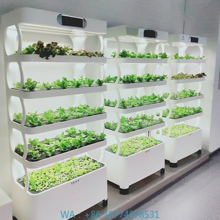 Iydroponic Automated Grow Syst - đánh giá và giá Diy Home Automation System