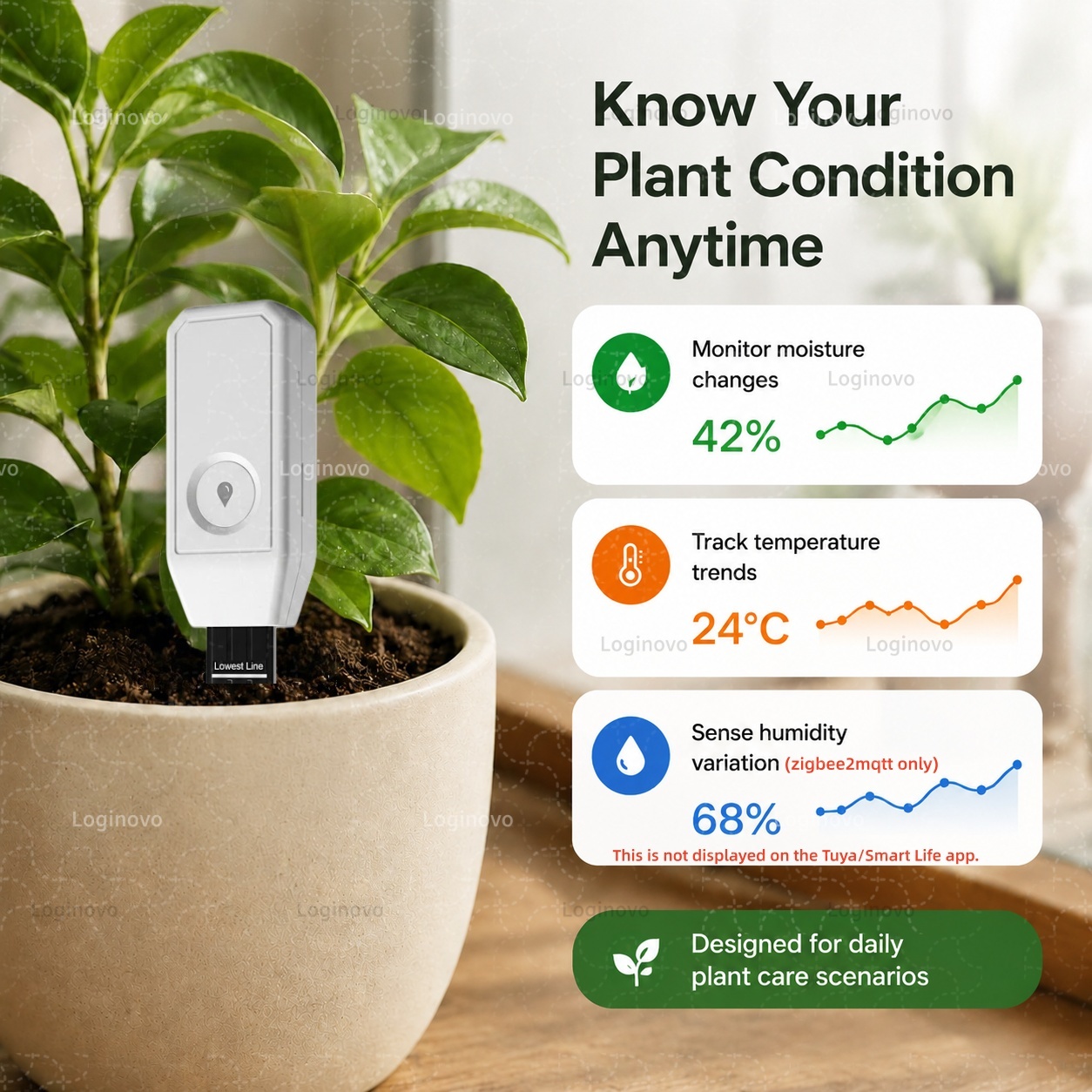 Tuya Zigbee Soil Moisture Test - đánh giá và giá Home Automation Ideas
